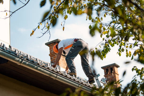 Best Local Roofing Companies  in Aho Falls, ID